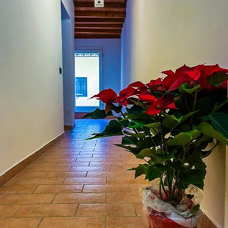 Apartmán House Brennero 29