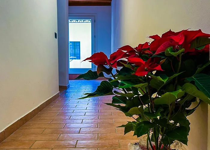 Lejlighed House Brennero 29